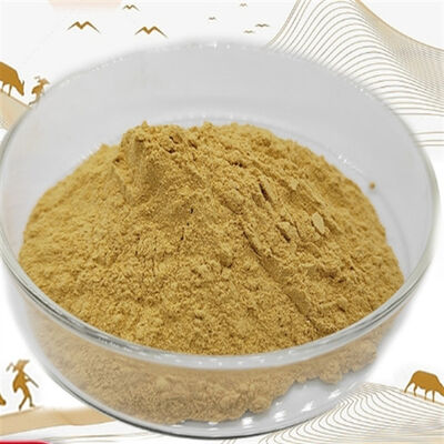Καλή τιμή. 90147-43-6 CAS 90147-43-6/ Τυποποιημένη σκόνη Διατροφική ποιότητα εξασφαλισμένη σε απευθείας σύνδεση