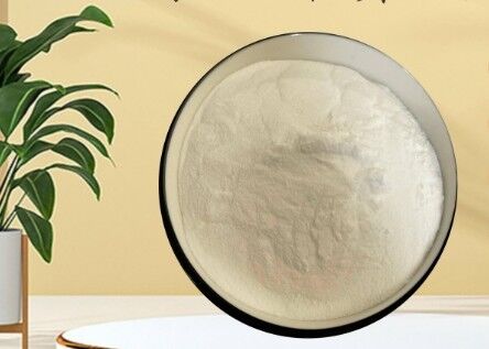 Καλή τιμή. GDL CAS 90-80-2 Food Grade White Powder Glucono Delta Lactone για γαλακτοκομικά προϊόντα αρτοποιίας σε απευθείας σύνδεση