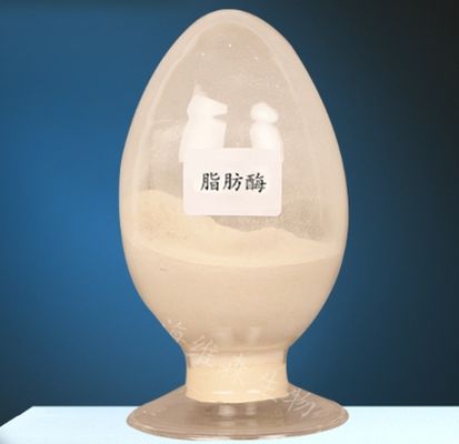 Καλή τιμή. Ενζύμιο λιπαζών CAS 9001-62-1 για το μεταβολισμό των λιπιδίων 99% καθαρότητα σε απευθείας σύνδεση
