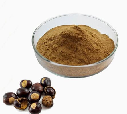 Καλή τιμή. CAS 8053-39-2 Εκχύλισμα σπόρων Aesculus Hippocastanum Αντιγηραντικά Καλλυντικά Εκχύλισμα αγριοκάστανου σε απευθείας σύνδεση