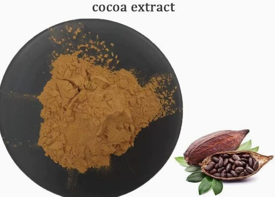 Καλή τιμή. CAS 84649-99-0 Εκχύλισμα κακάο Theobroma για τρόφιμα και ποτά Εκχύλισμα κακάο σε απευθείας σύνδεση